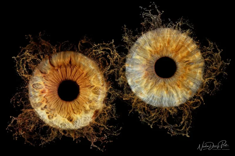 Deux représentations abstraites et détaillées diris sur fond noir captent lœil. Liris de gauche, réalisé par un talentueux photographe de Seine-et-Marne (77), présente des textures orange et marron vibrantes. Celui de droite présente un mélange dynamique de teintes bleues et jaunes, toutes deux tourbillonnantes dénergie.