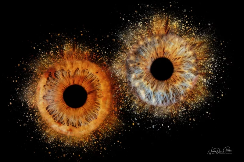 Deux représentations abstraites et vibrantes diris humains sur fond noir évoquent des explosions cosmiques. Liris de gauche mélange lorange et le marron, tandis que celui de droite présente des teintes bleues et blanches. Capturant des détails complexes et des textures mouchetées, ces œuvres rappellent le talent artistique derrière Photographe Iris Seine-et-Marne (77).