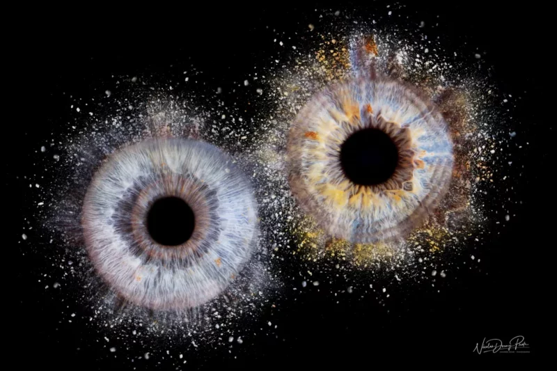 Image abstraite de deux iris colorés et détaillés sur fond noir, capturée par un photographe talentueux en Seine-et-Marne (77), ressemblant à des galaxies avec des motifs mouchetés et des couleurs vibrantes.