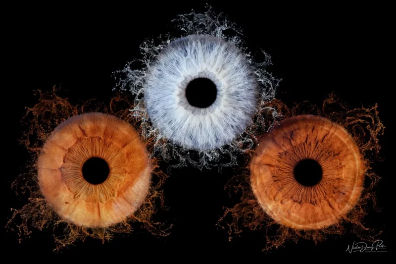 Trois iris retouchés numériquement sur fond noir capturent lessence de la photographe Iris Seine-et-Marne (77) : un bleu en haut et deux marron en bas. Chaque iris est entouré de textures complexes ressemblant à des flammes ou à des éclaboussures, créant un effet dramatique et artistique.