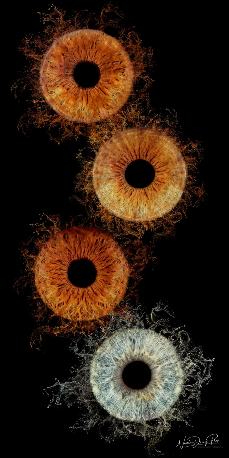 Quatre gros plans diris humains disposés verticalement sur fond noir, pris par un photographe de Seine-et-Marne (77). Les iris affichent des couleurs vives : orange, marron et bleu, avec des détails et des motifs complexes rappelant des œuvres dart abstraites.
