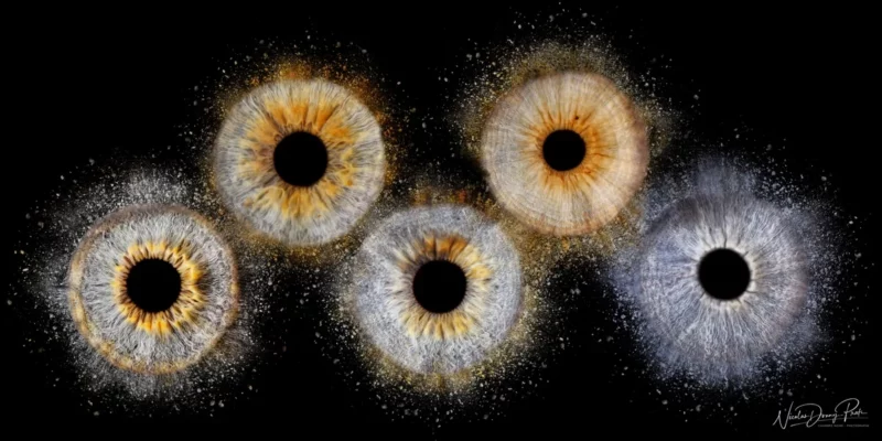 Une série de dessins diris colorés et abstraits sur fond noir capture lessence du photographe Iris Seine-et-Marne (77). Les iris varient dans des nuances de bleu, dorange et de gris, avec des motifs et des textures complexes rayonnant de la pupille.