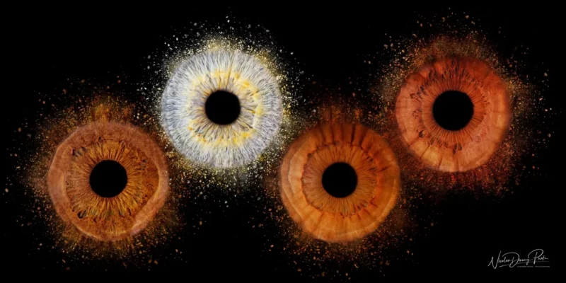 Quatre motifs diris vibrants et détaillés rayonnent sur un fond noir dans cette superbe œuvre de Photographe Iris Seine-et-Marne (77). Allant du bleu avec des taches jaunes à diverses nuances de brun, ils ressemblent à des explosions cosmiques avec un effet semblable à de la poussière autour de chacune.