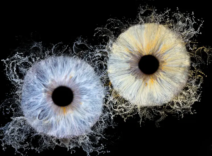 Deux représentations artistiques et abstraites d'iris aux tons bleus et noisette apparaissent sur un fond noir — évoquant la vision créative d'un photographe d'iris de Seine-et-Marne (77) — avec des motifs tourbillonnants, semblables à des éclaboussures, rayonnant vers l'extérieur de chaque forme circulaire.