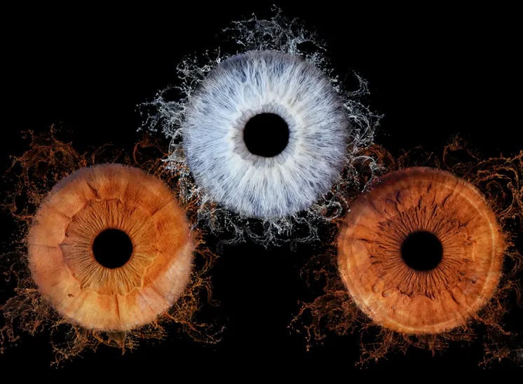 Trois iris détaillés sur fond noir : un œil bleu en haut avec des bords en forme d'éclaboussures, et deux yeux marron en dessous, chacun capturé par un photographe iris Seine-et-Marne (77) avec des éclats de couleur vaporeux et texturés qui les entourent.